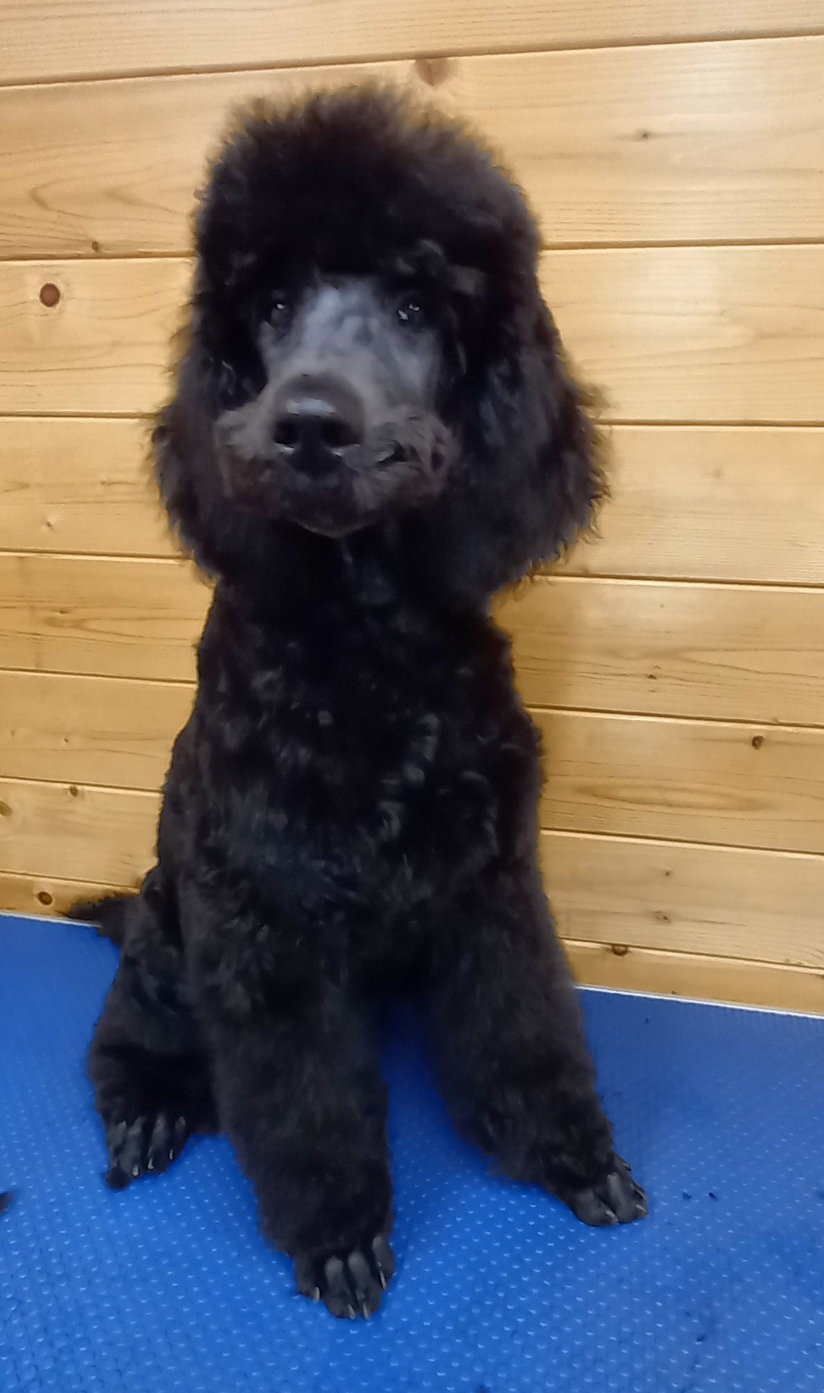 569332469_25296106803353921_1069459203133177835_n