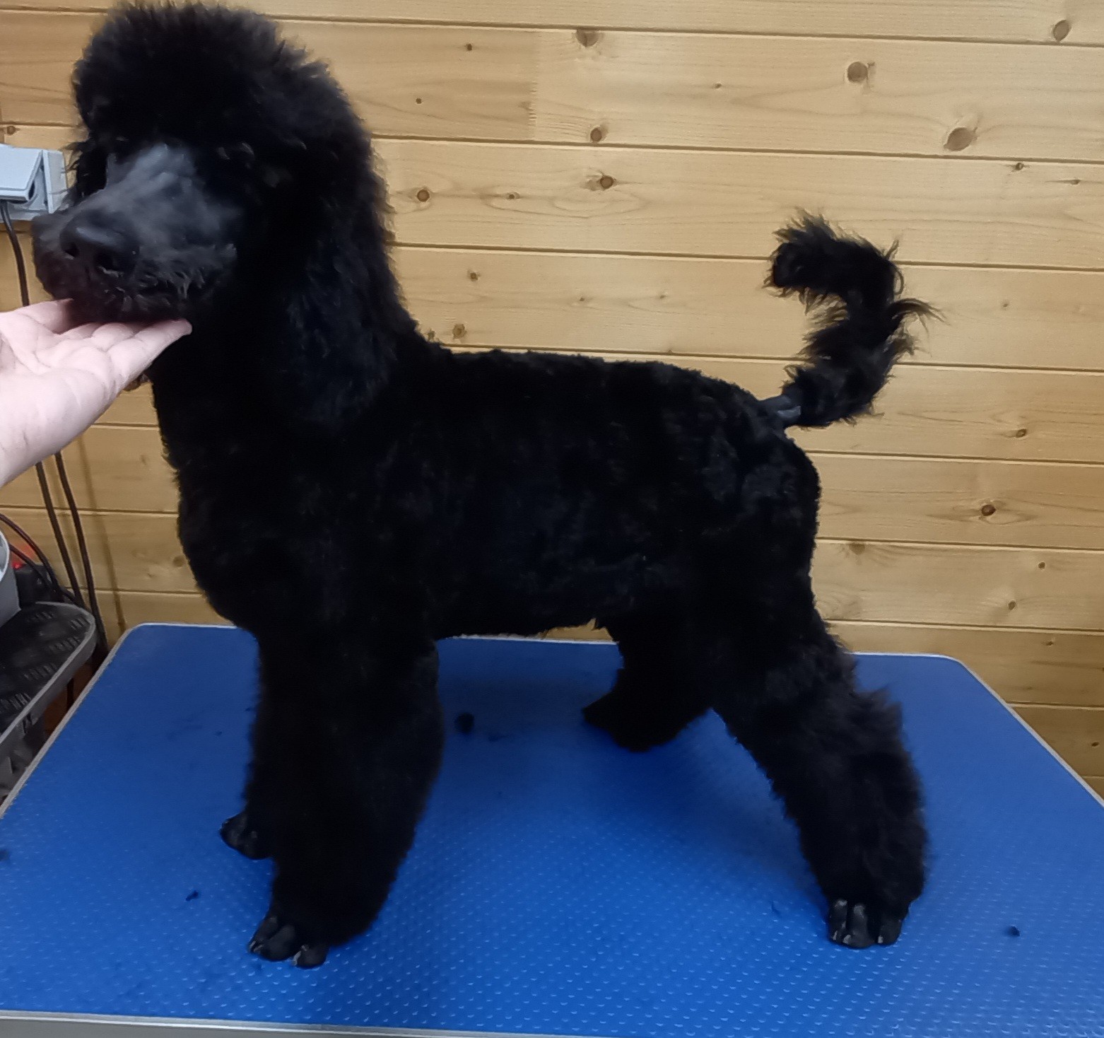 569403065_25296106476687287_733608647982352659_n