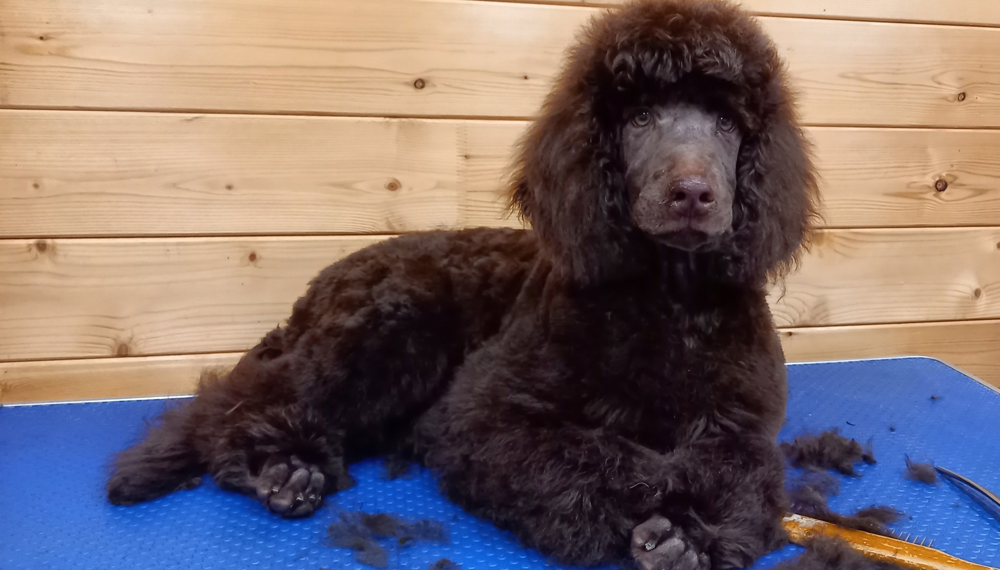 566246191_25281449908152944_4823340093795118005_n