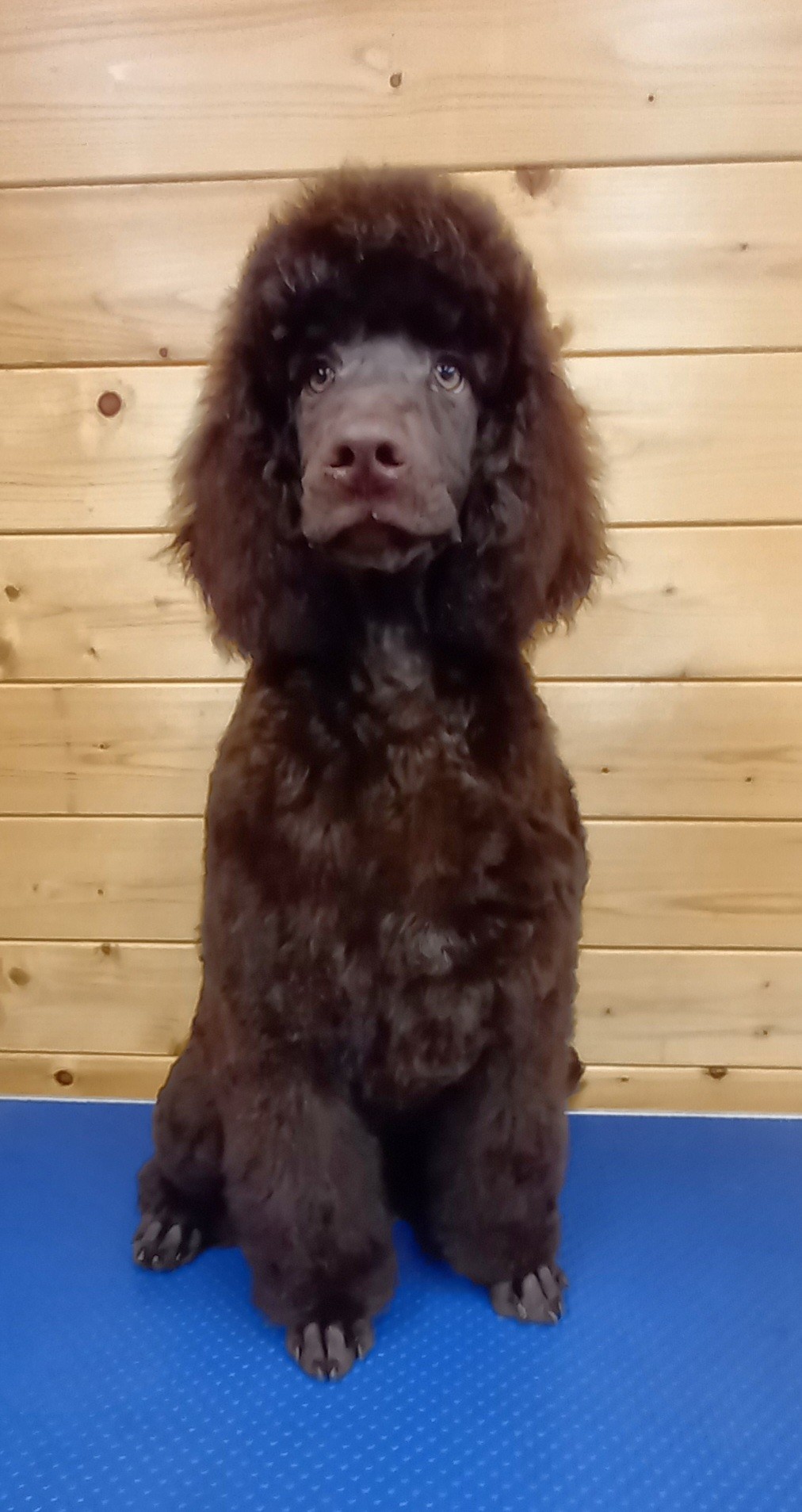 568069858_25281449338153001_9049604380143823760_n