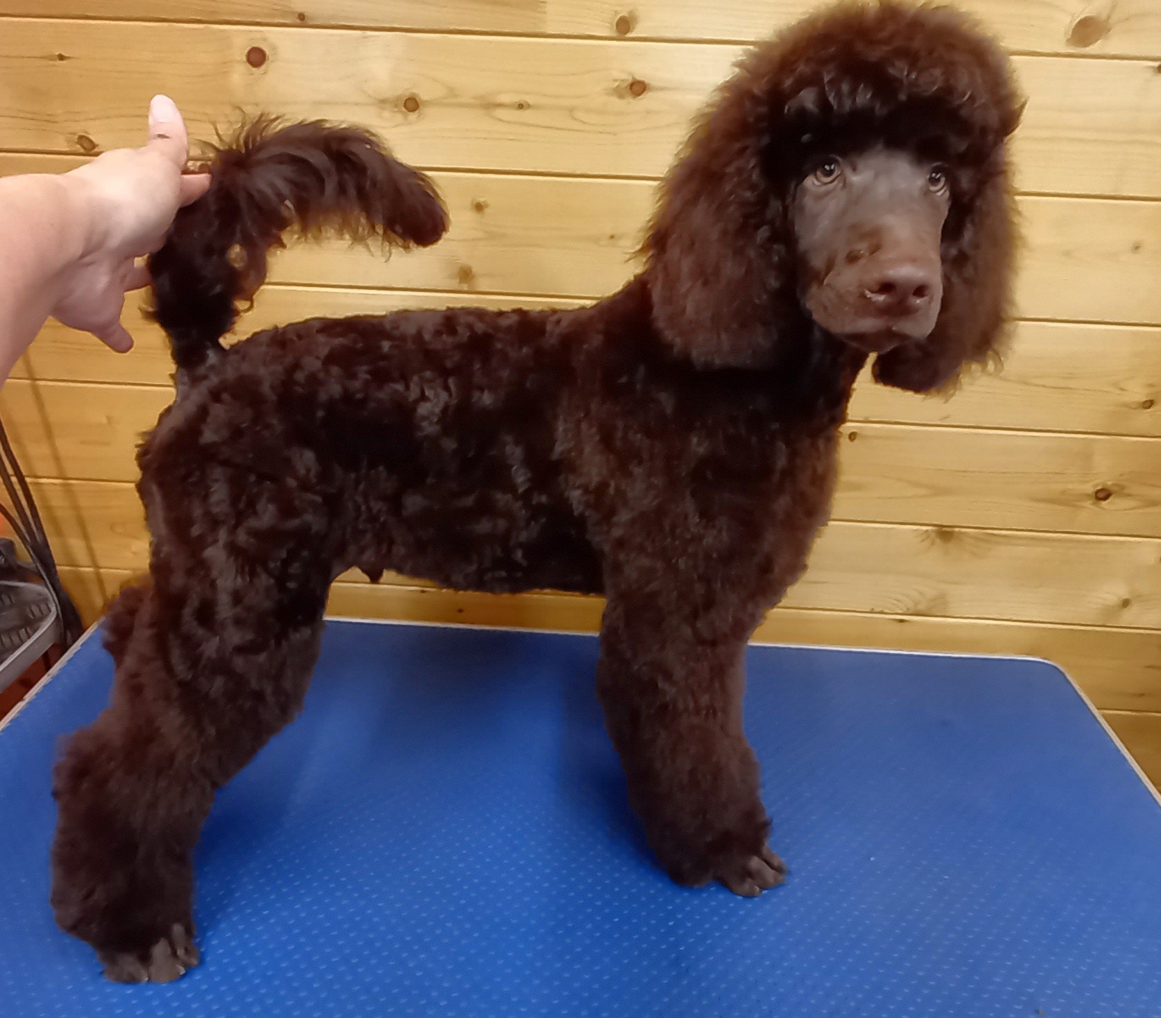 568413911_25281448771486391_3105727081963793195_n