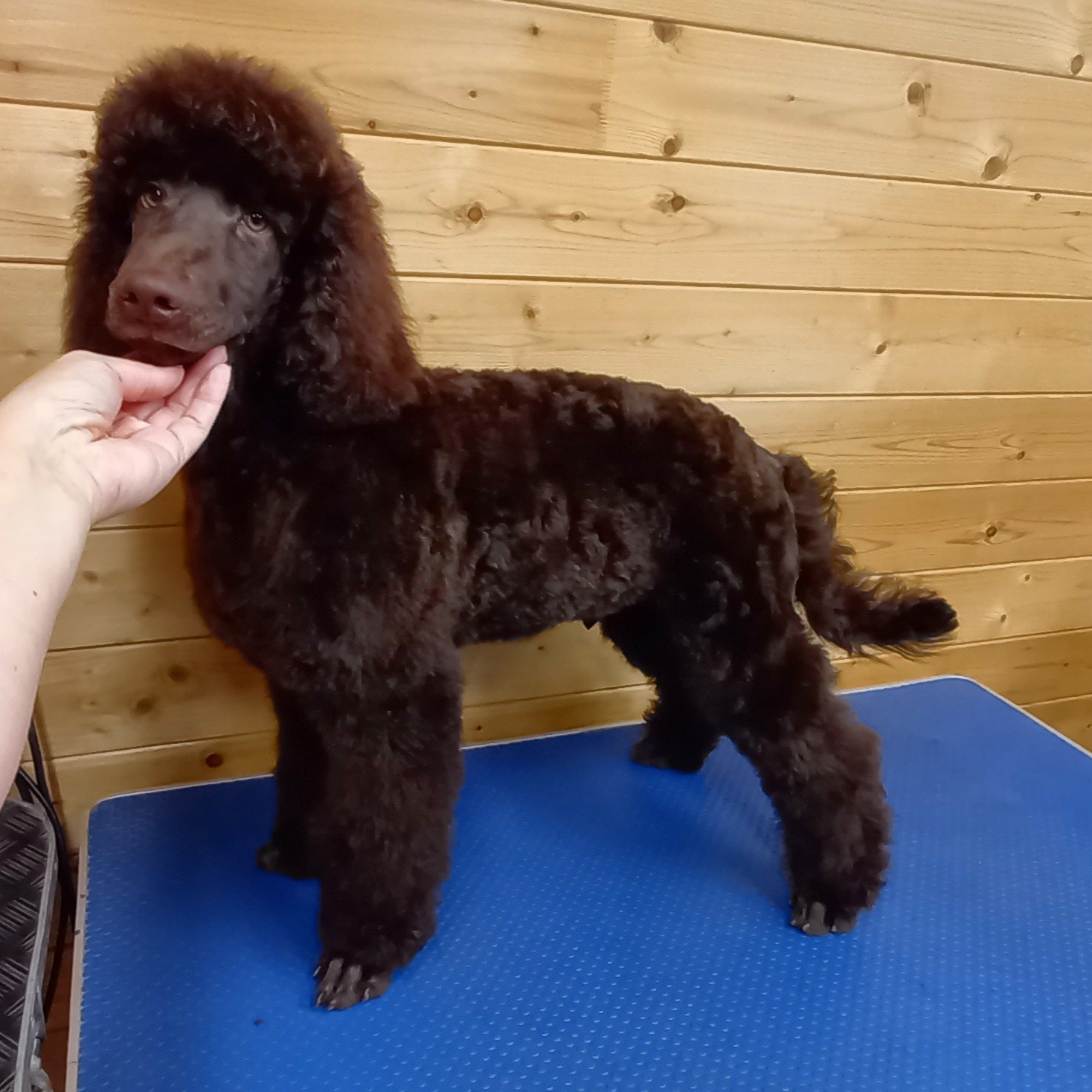 568662916_25281449058153029_5818064375854808723_n